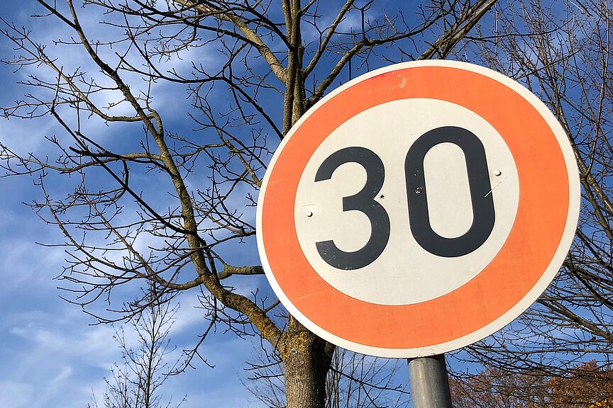 Schild Tempo 30 Schild Tempo 30 mit Baum im Hintergrund